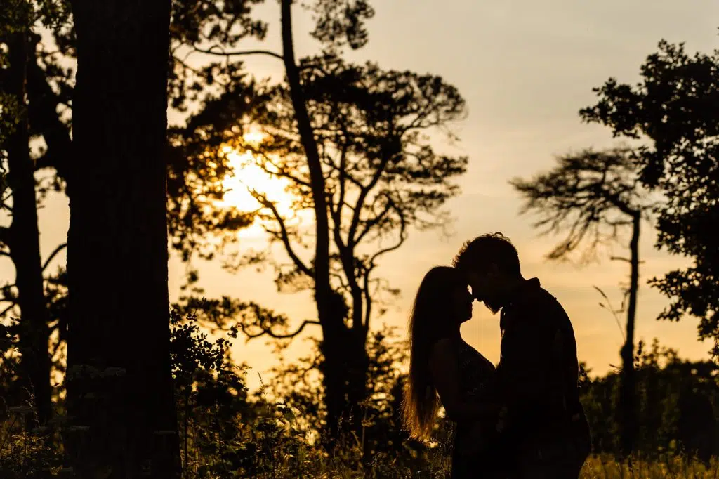 A sillhuette of a bride and groom under the trees.